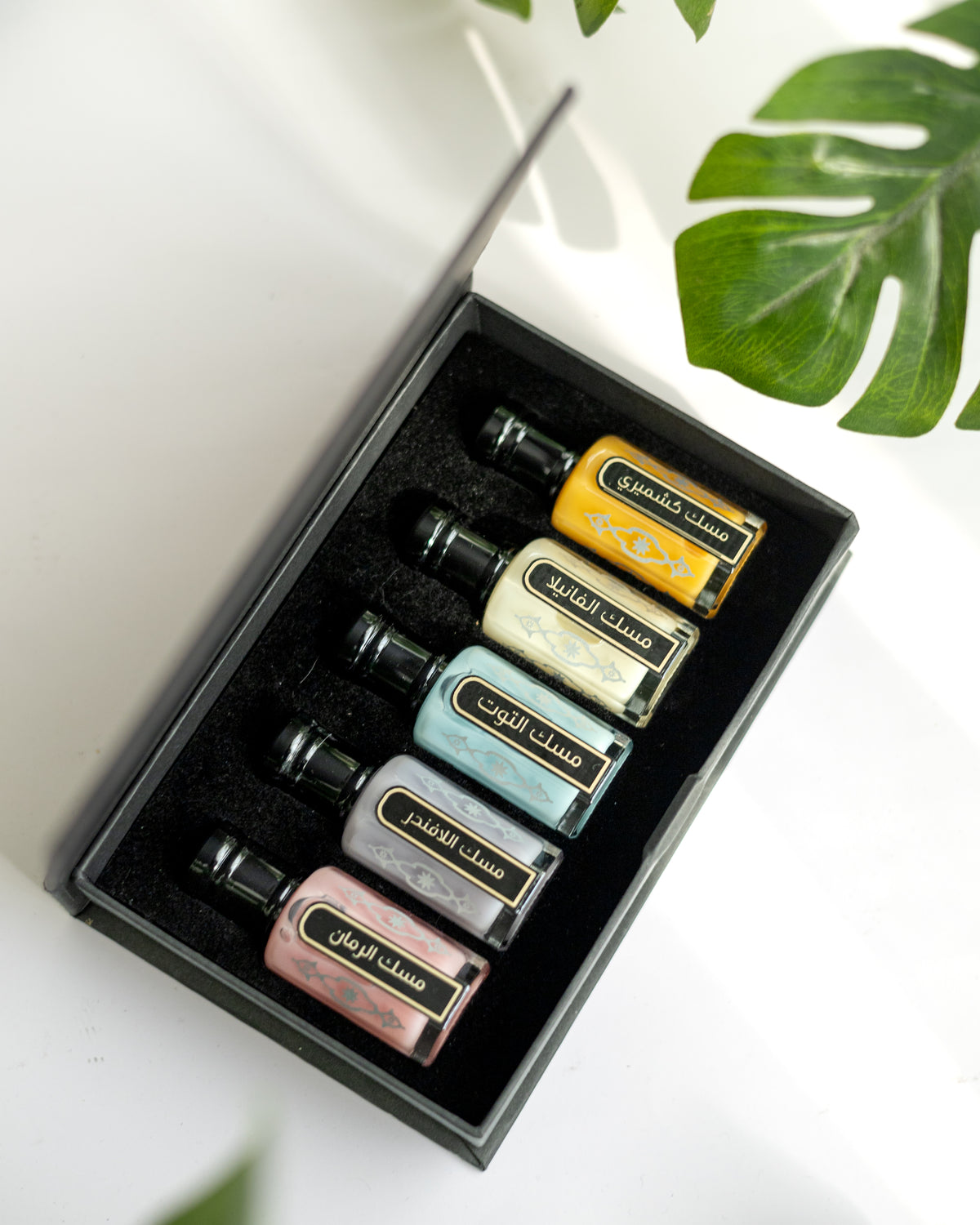 Musk Box Musk Box – Rayana309