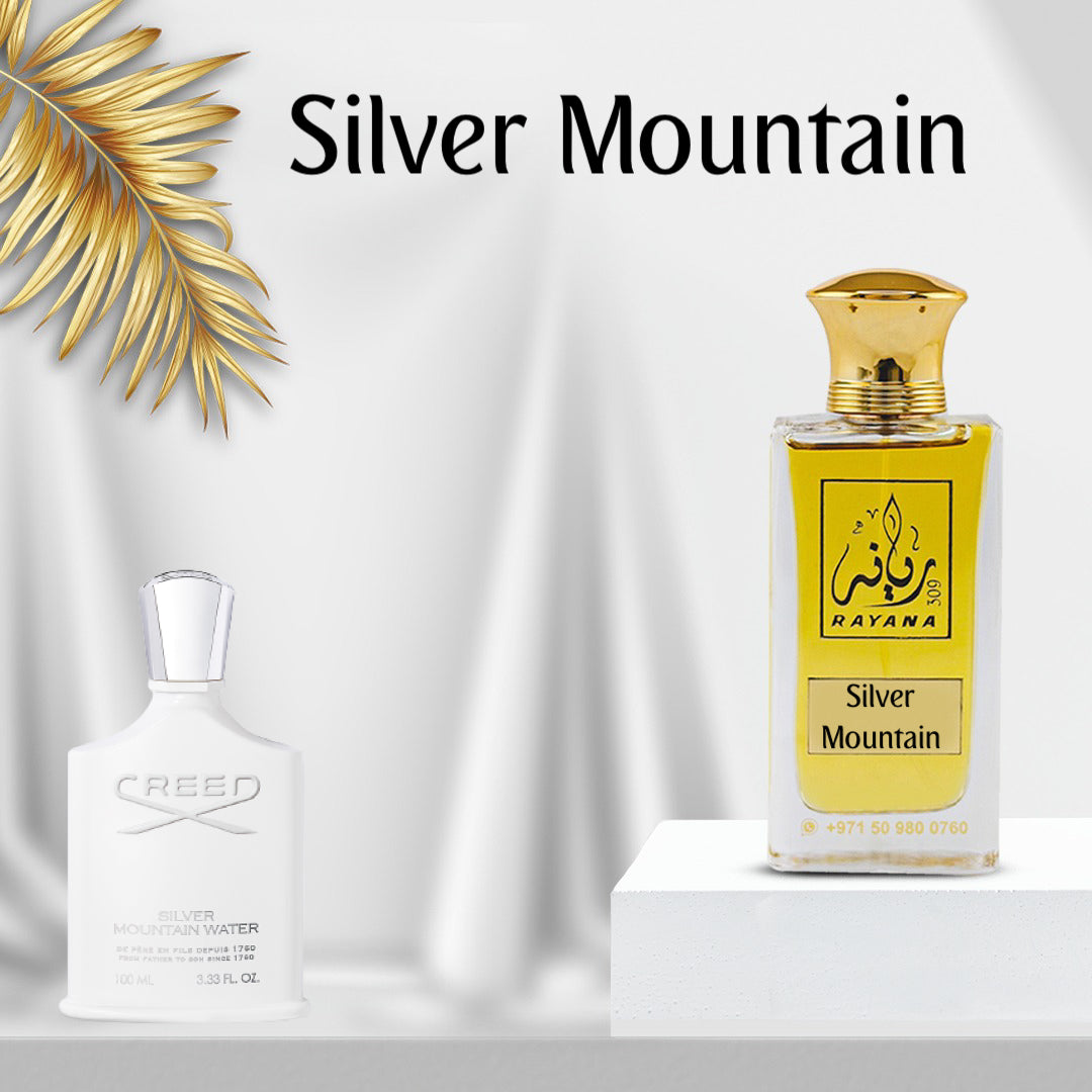 Silver Mountain